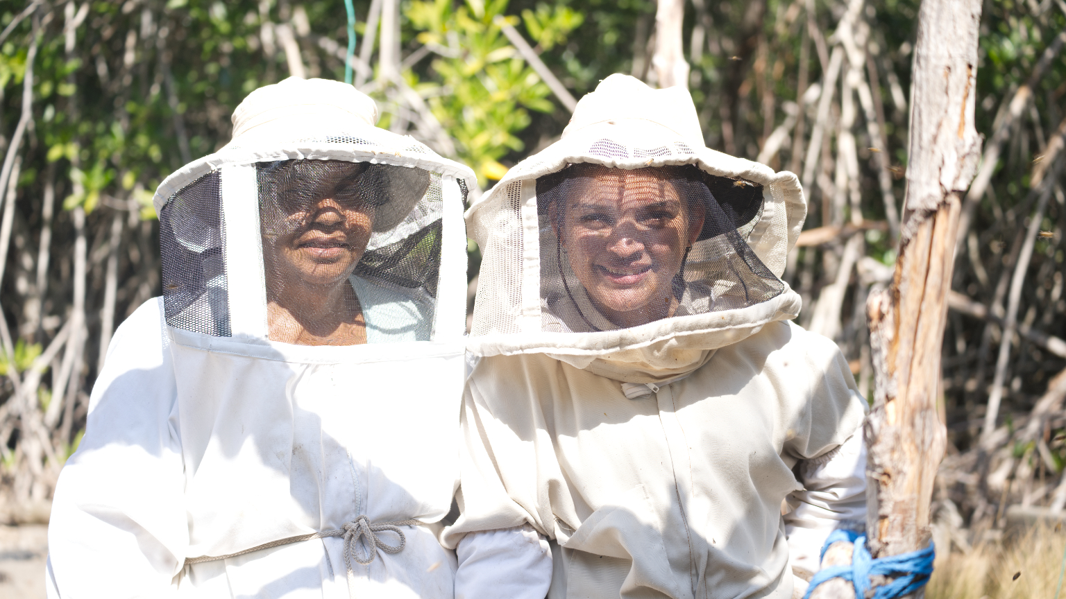 Beekeepers in protective suits